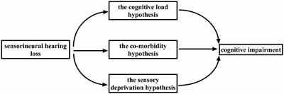 Sensorineural hearing loss and cognitive impairment: three hypotheses